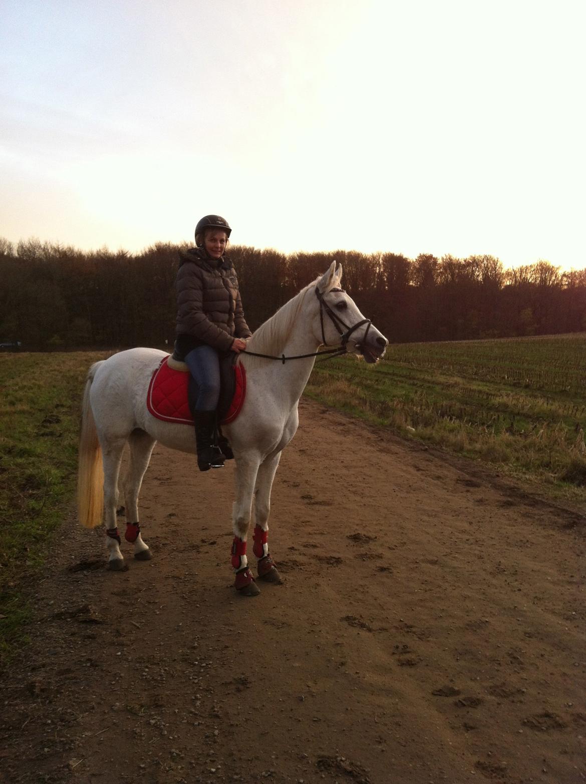 Anden særlig race Awanca - November 2012 - Her fik jeg lige lokket min mor op på Awanca også :) billede 16