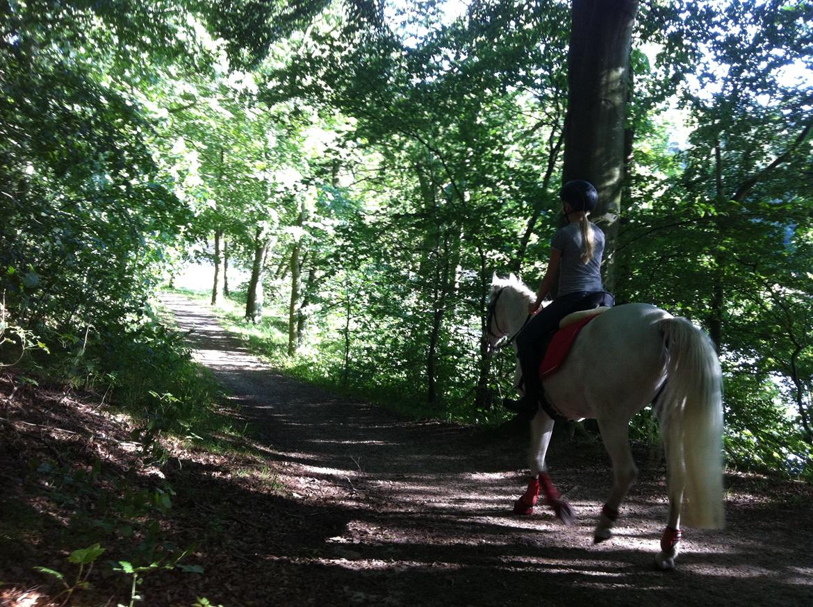 Anden særlig race Awanca - Juli 2012 - I skoven på en varm sommerdag :) billede 17