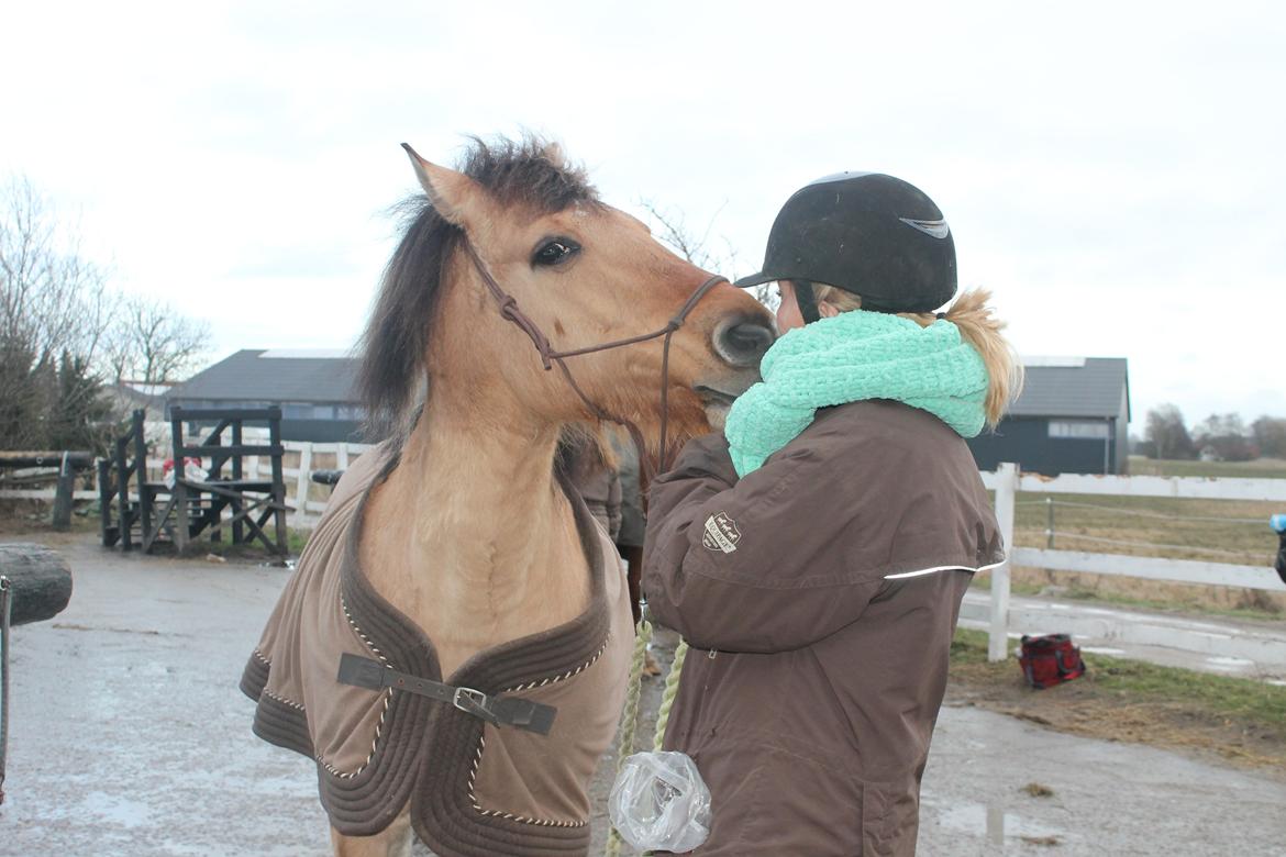 Anden særlig race Emma Merci (Min prinsesse) mit et & alt<3 - Sidste dag med dig som part.. 
Jeg savner dig allerede.
Elsker dig <3  billede 15