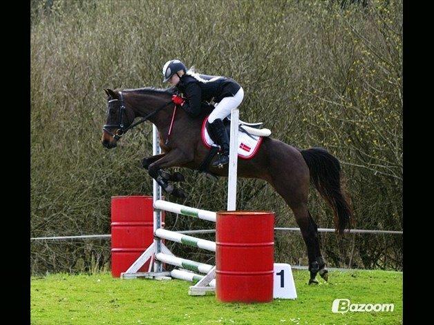 DSP Day-lights naomi - Ørnhøj derby 4 fejl 20 spring  
2 plads. Jolanda vandt ;)
men Naomi var også sej xD billede 22