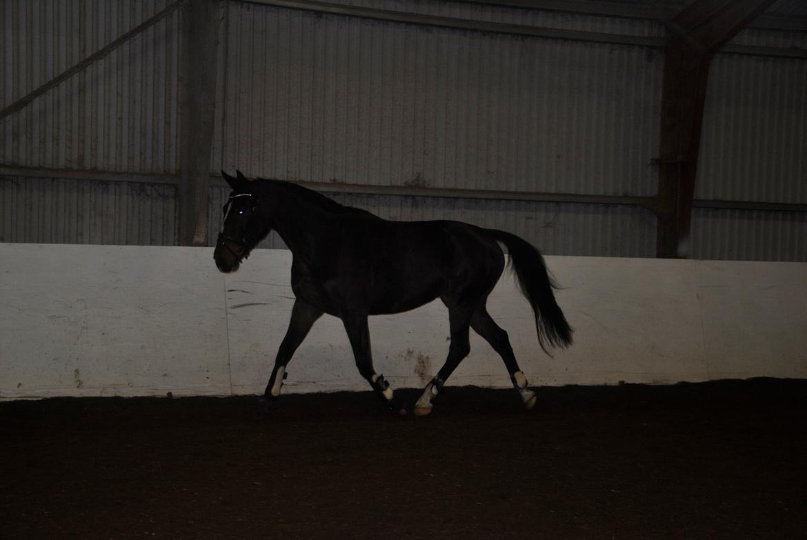 Oldenborg Conrad billede 12