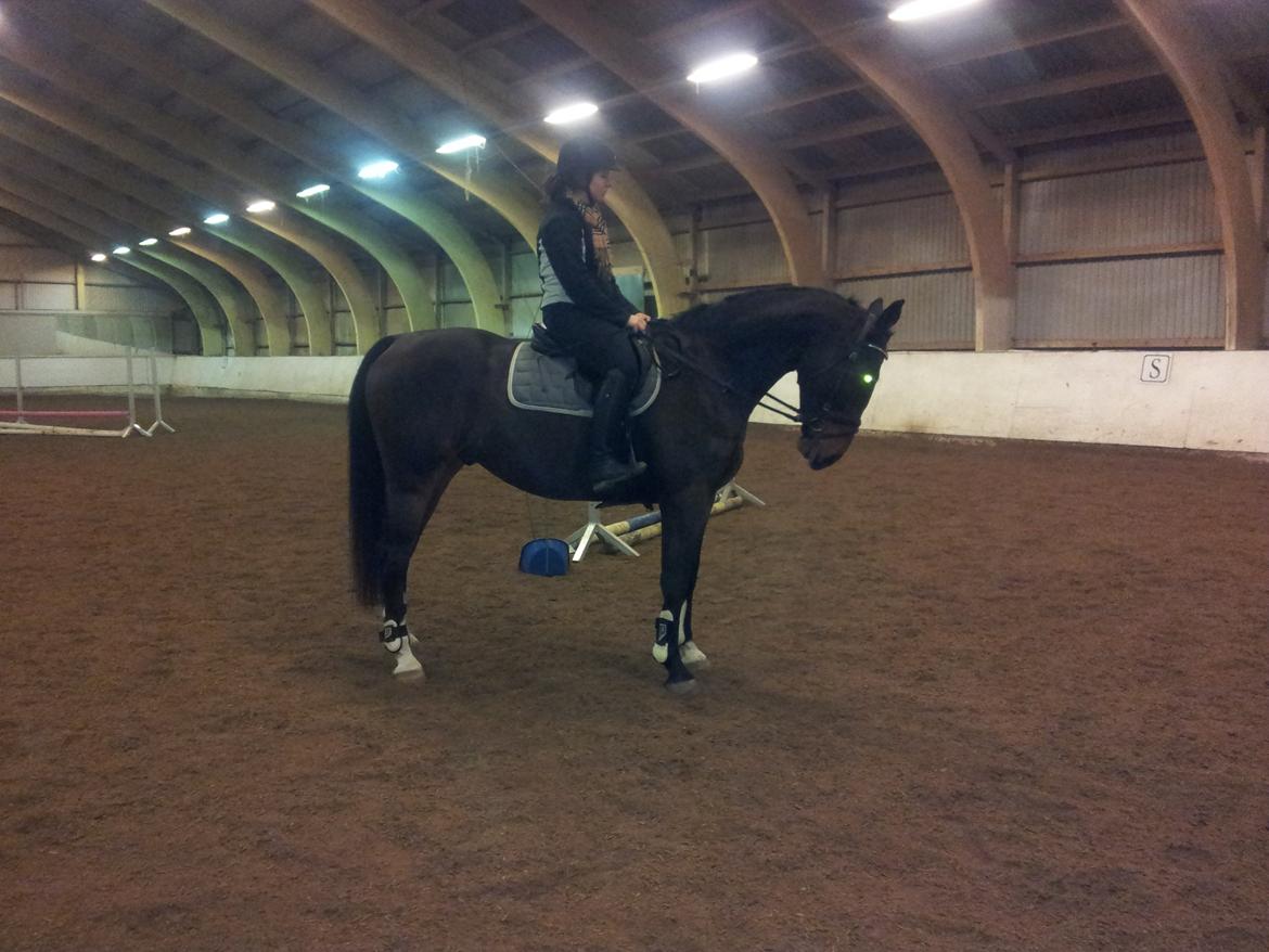 Oldenborg Conrad billede 14