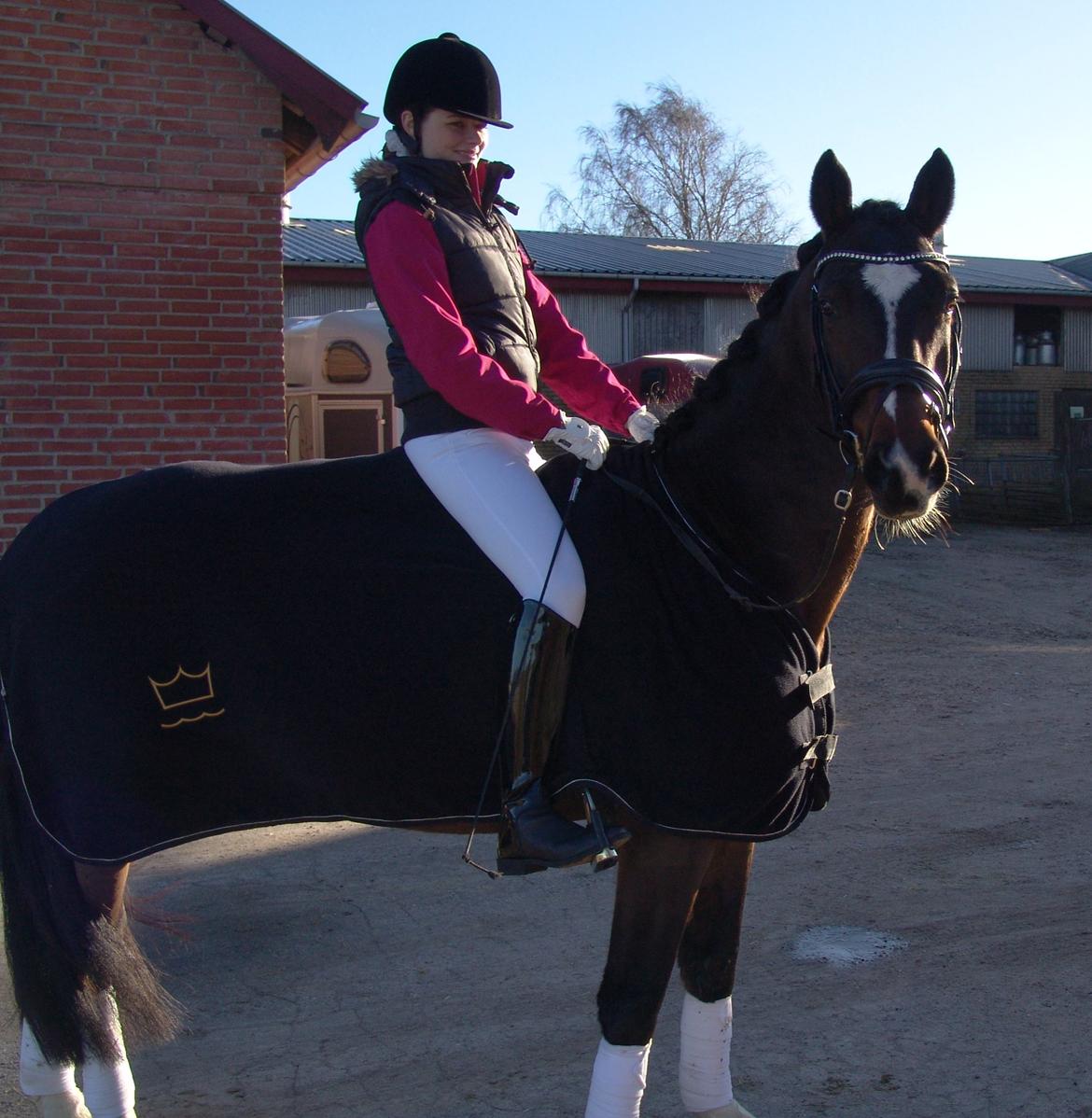 Dansk Varmblod Kronborgs Deco - HINGST - Nina & Deco til deres første stævne. 
2. februar 2013 på ROOR billede 5