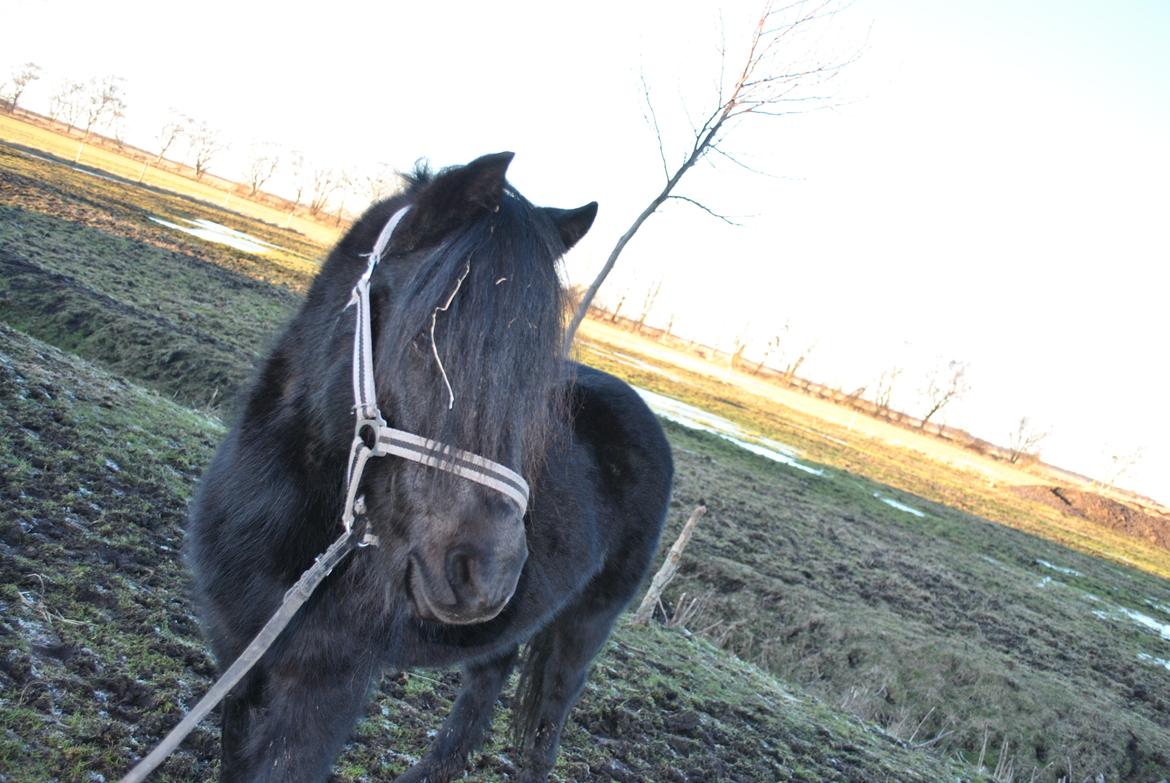 DSP Beauty - The future belongs to those who believe in the beauty of their dreams.
Foto: Mathilde billede 10