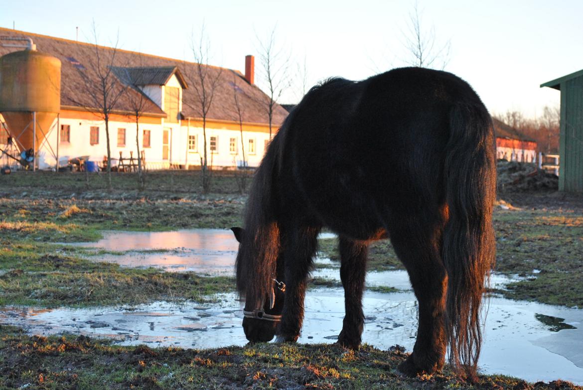 DSP Beauty - Some people show off their beauty because they want the world to see it. Others try to hide their beauty because they want the world to see something else.
Foto: Mathilde billede 25