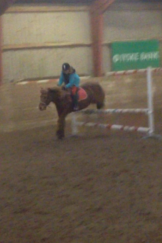 Islænder Eldur - ¤ delle ¤ - Så skulle Eldur igang igen! 80 cm d. 1/2/13 <3 billede 20