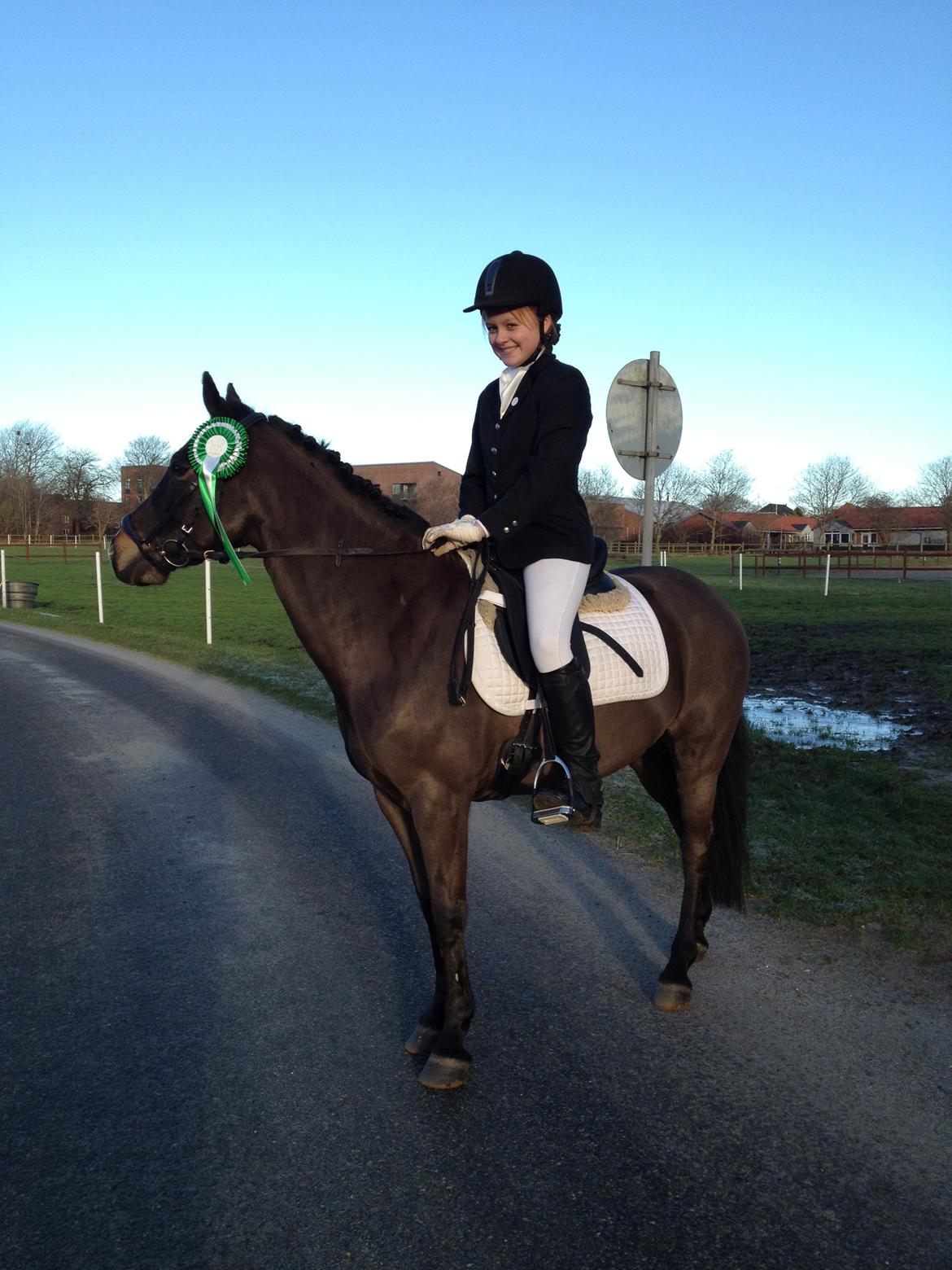 Anden særlig race Calypso - <3 :-* 3. plads! billede 20