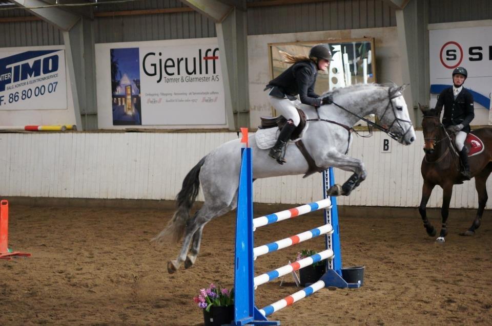 Holstener Cassie - LB** 2013 :) billede 12