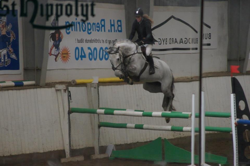 Holstener Cassie - Cassie i vores første LA :) Feb 2013 billede 13