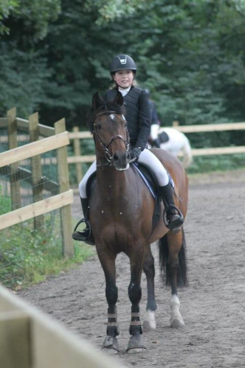 Anden særlig race Sabu billede 14