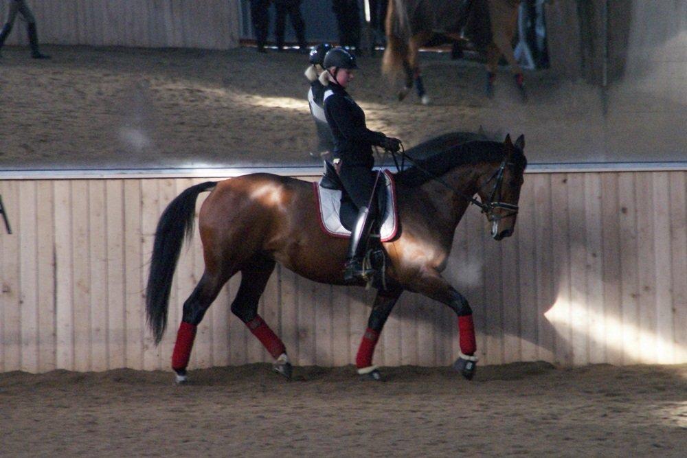 Oldenborg Fleur (Olga) - Kursus ved Mads Rom - 02/02 2013 billede 11