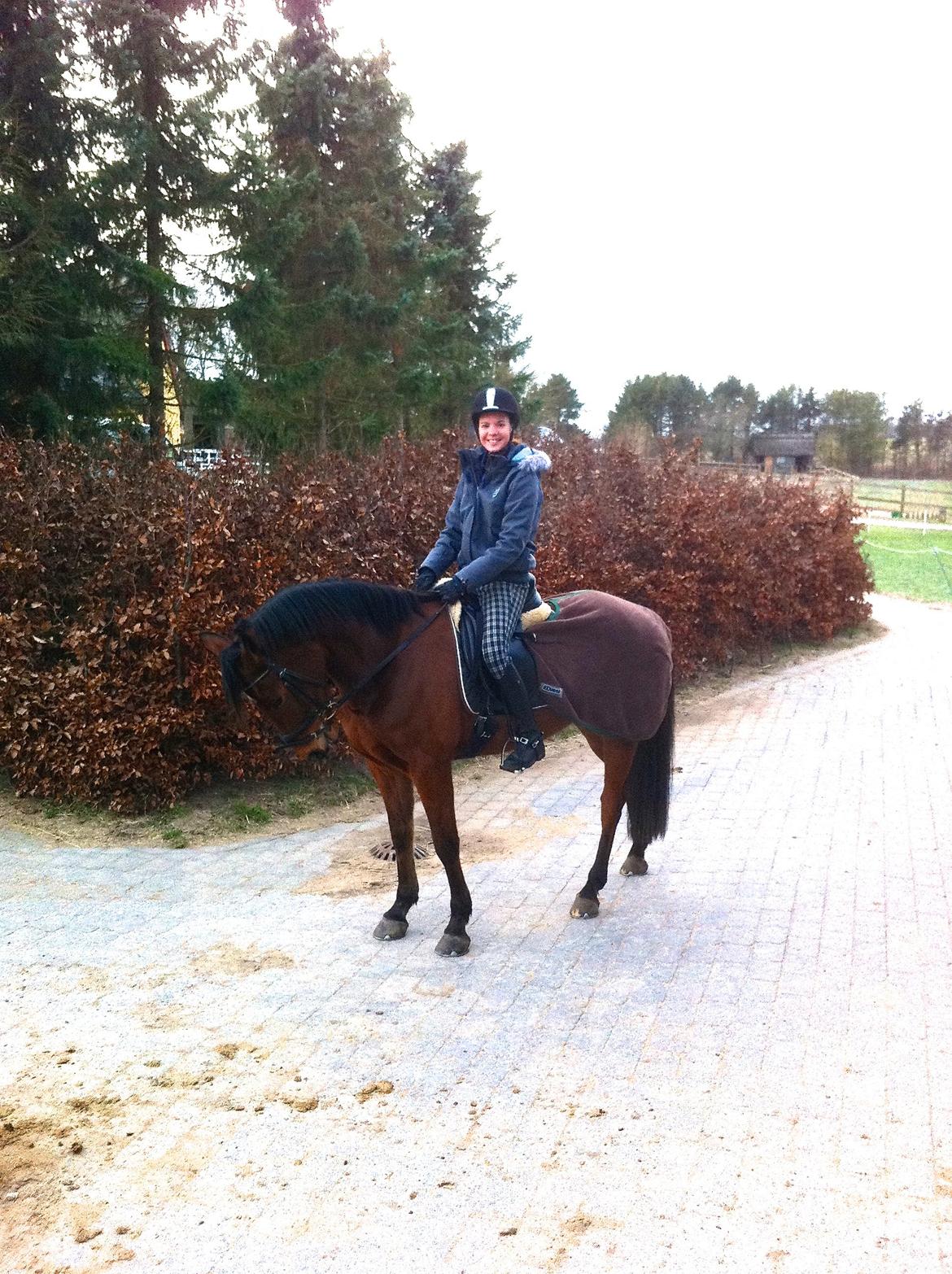 Anden særlig race Madsen (Yasser) - Hyggedag med Sarah og Buddy <3 billede 3