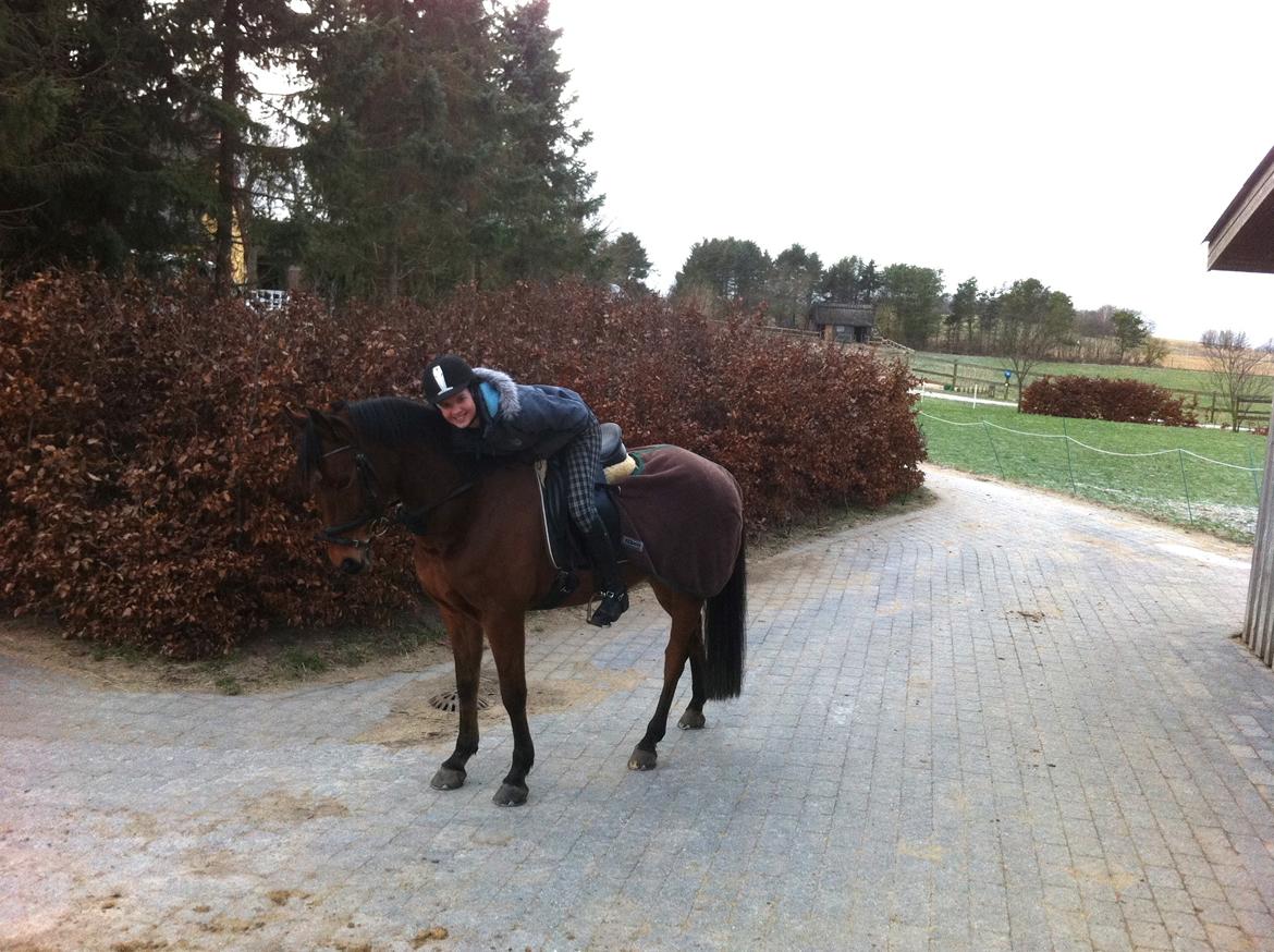 Anden særlig race Madsen (Yasser) billede 5
