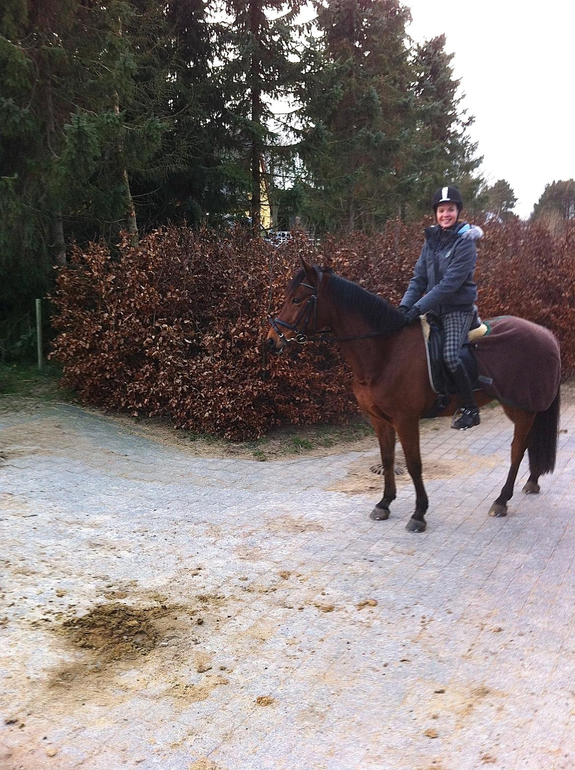 Anden særlig race Madsen (Yasser) billede 6