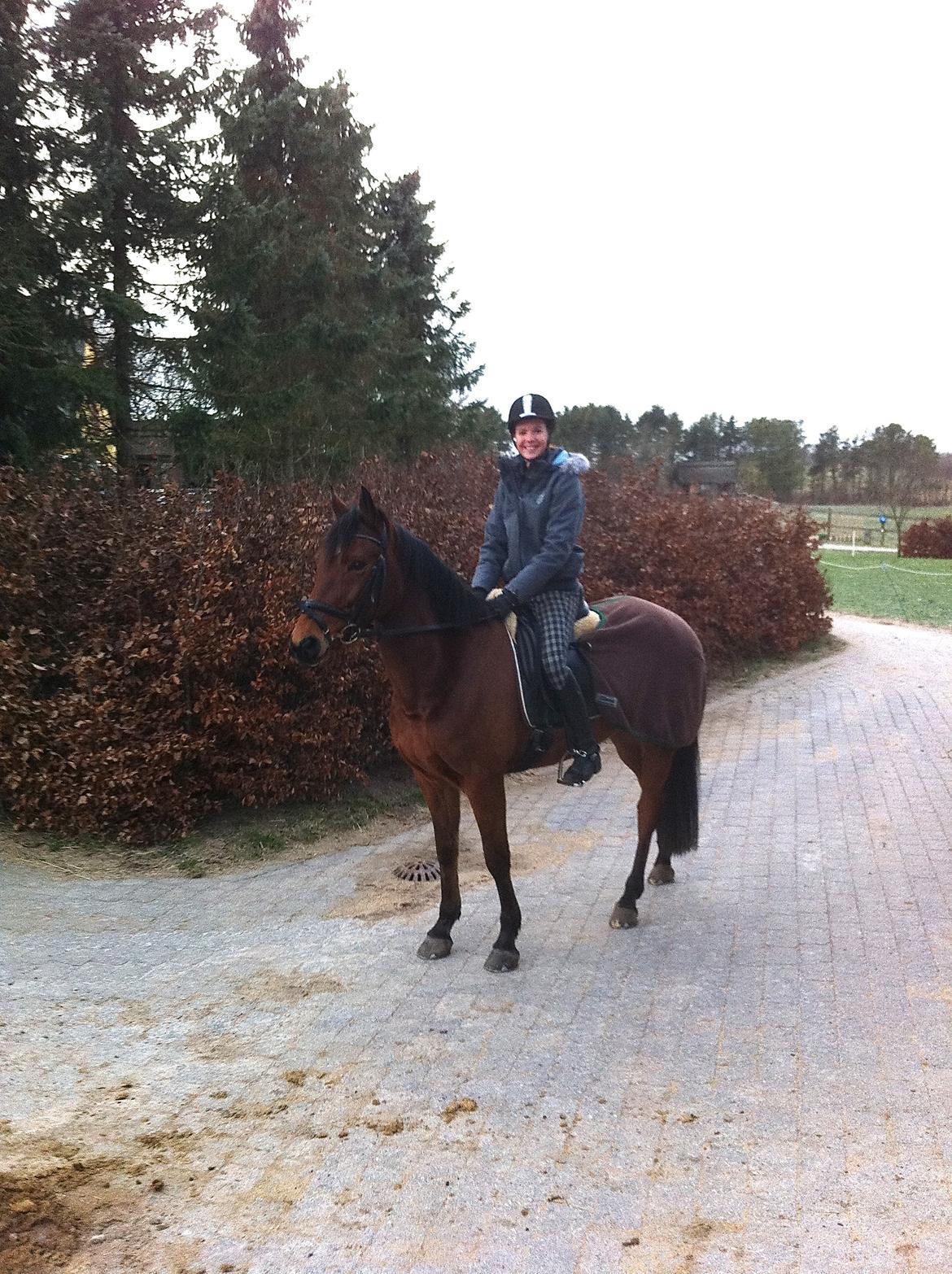Anden særlig race Madsen (Yasser) - Min dejlige dreng <3 billede 1