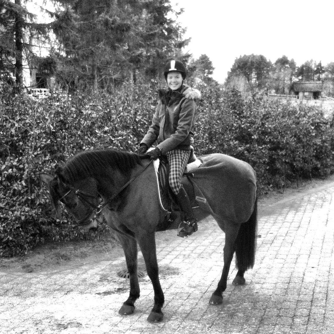 Anden særlig race Madsen (Yasser) billede 11