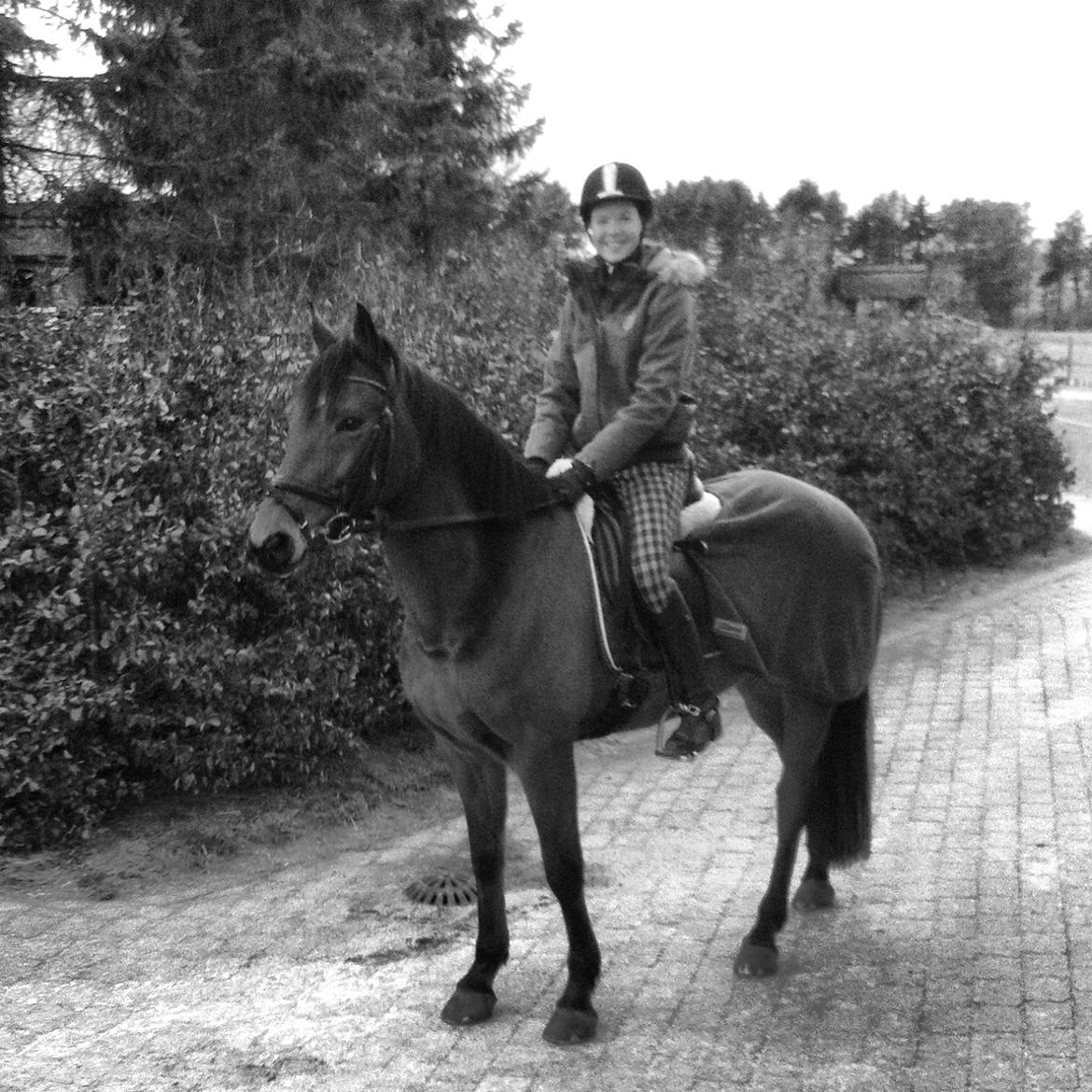 Anden særlig race Madsen (Yasser) billede 8