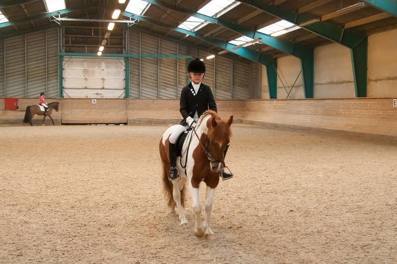 Anden særlig race Hidalgo - Miiiin guldklump! Til stævne i SØR... Super fed stævnedag, LA1 - 66,21% - 1 plads LA2 - 65,94% - 3 plads!<333 billede 9