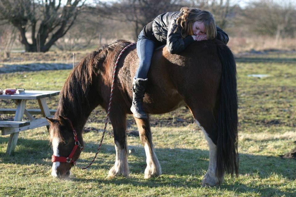 Anden særlig race Hesdalskær's Victoria - Februar 2013 | Dem der siger diamanter er en piges bedste ven, har aldrig ejet en hest ♥. billede 18