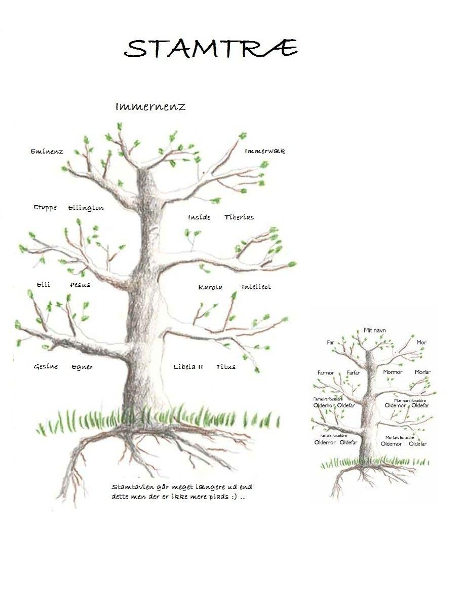Tysk Oldenburger Immernenz (Bimmer) <3 billede 14
