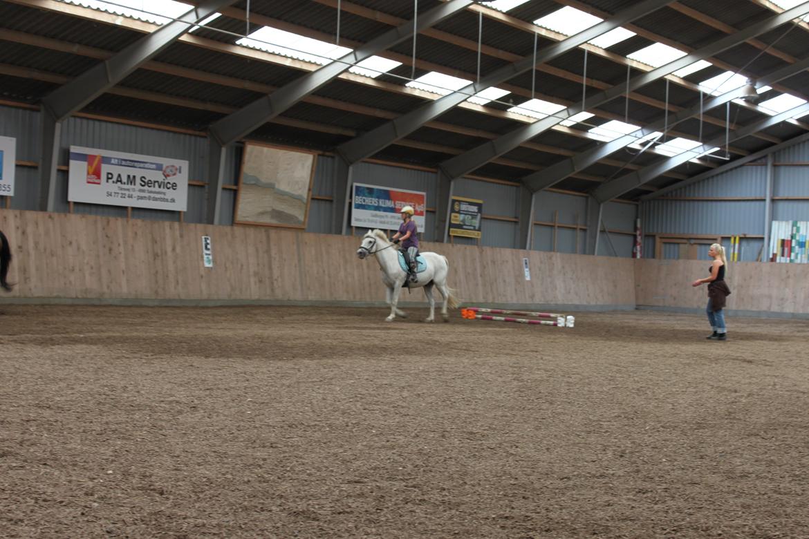 Anden særlig race snebold - et at de første spring med dig ;)  billede 1