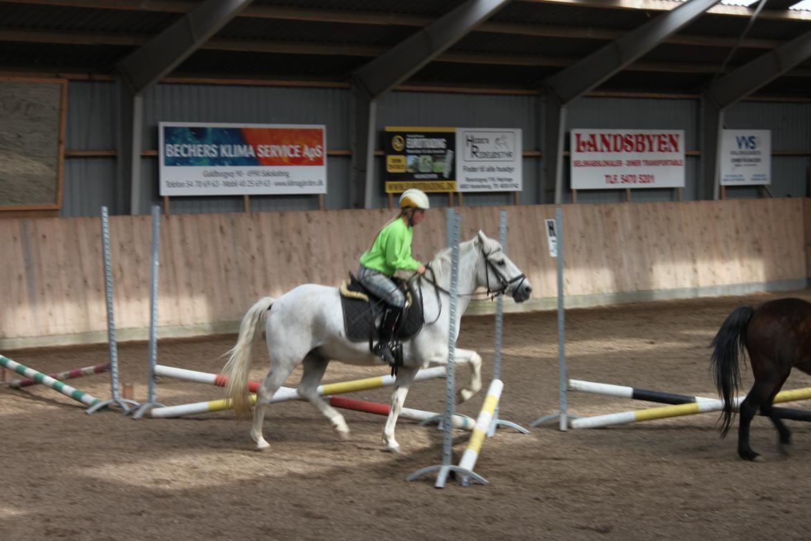Anden særlig race snebold - lille spring ;)  billede 7