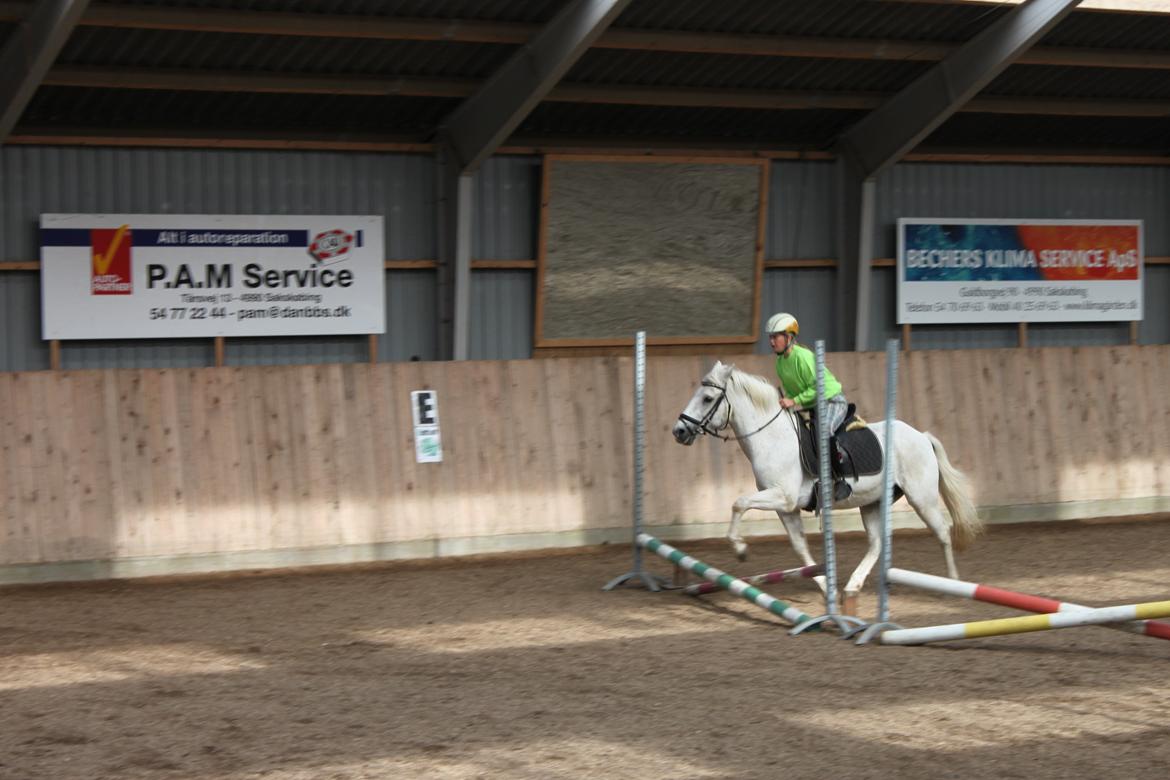 Anden særlig race snebold - lille igen  billede 8