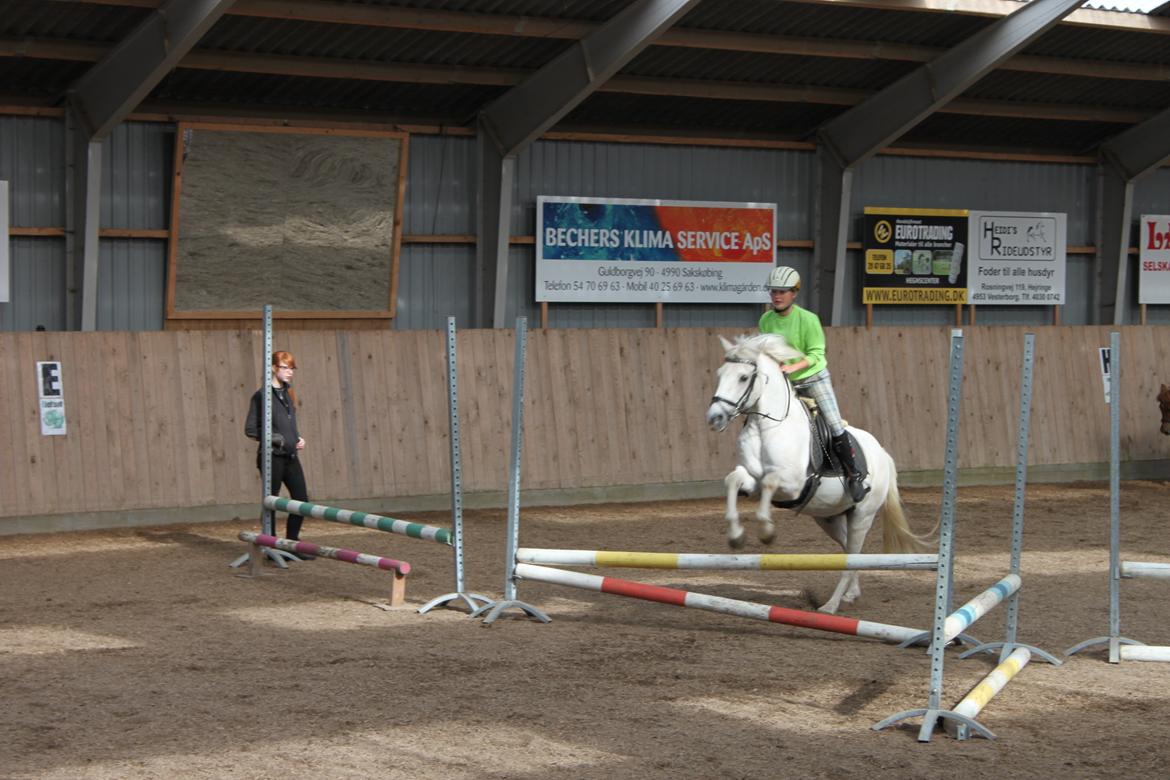 Anden særlig race snebold - :) billede 9