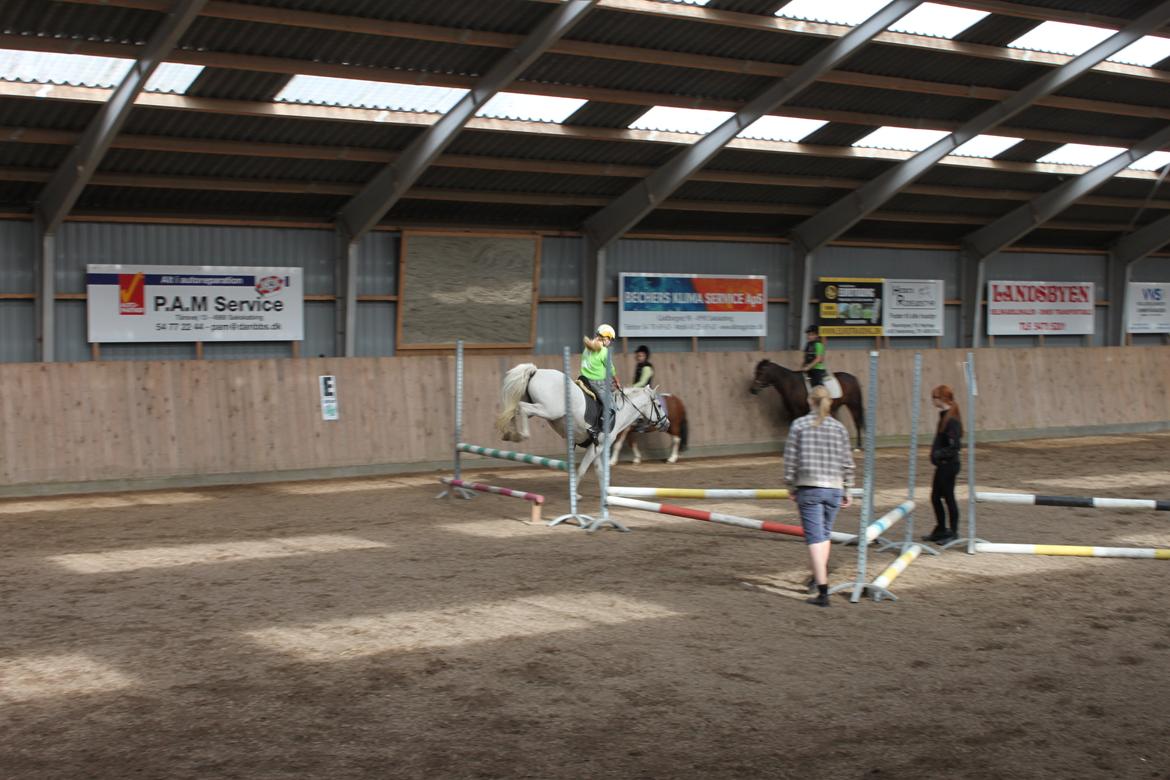 Anden særlig race snebold - 70 cm ca ;) billede 10