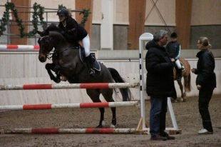 Hollandsk Sportspony | Elim - Elim og Nicoline til Warm Up 2012! billede 20