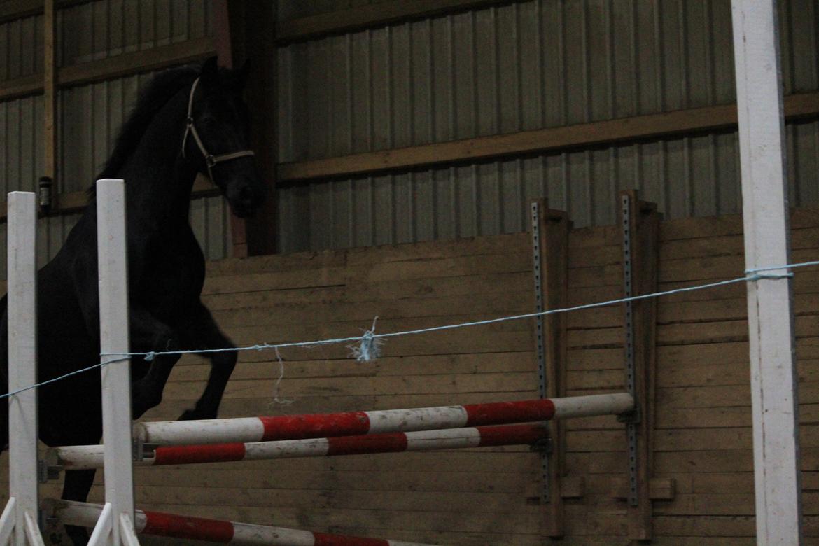 Oldenborg Gaston billede 12