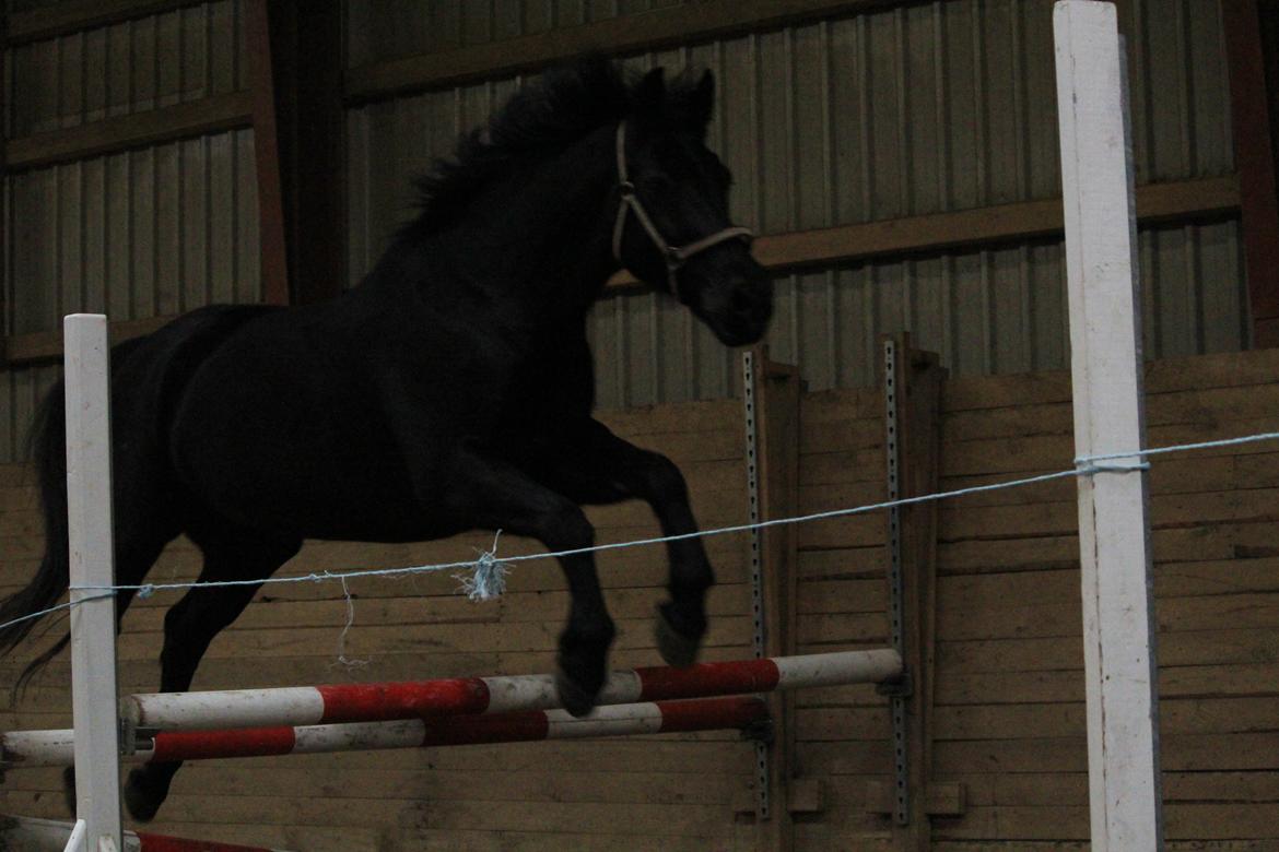 Oldenborg Gaston billede 9