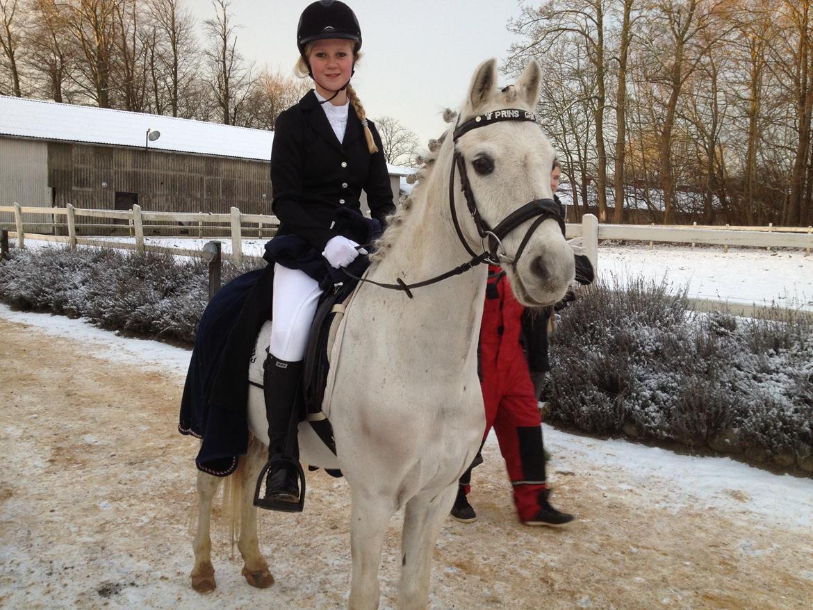 Anden særlig race Prins Grå<3 - Velkommen til Prins Grås profil :-D
- Til stævne :-) billede 1