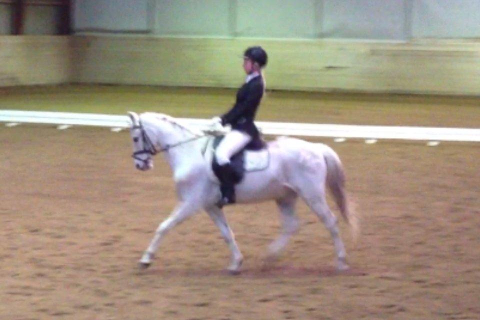 Anden særlig race Prins Grå<3 - LC1
Undskyld kvaliteten :-( billede 6