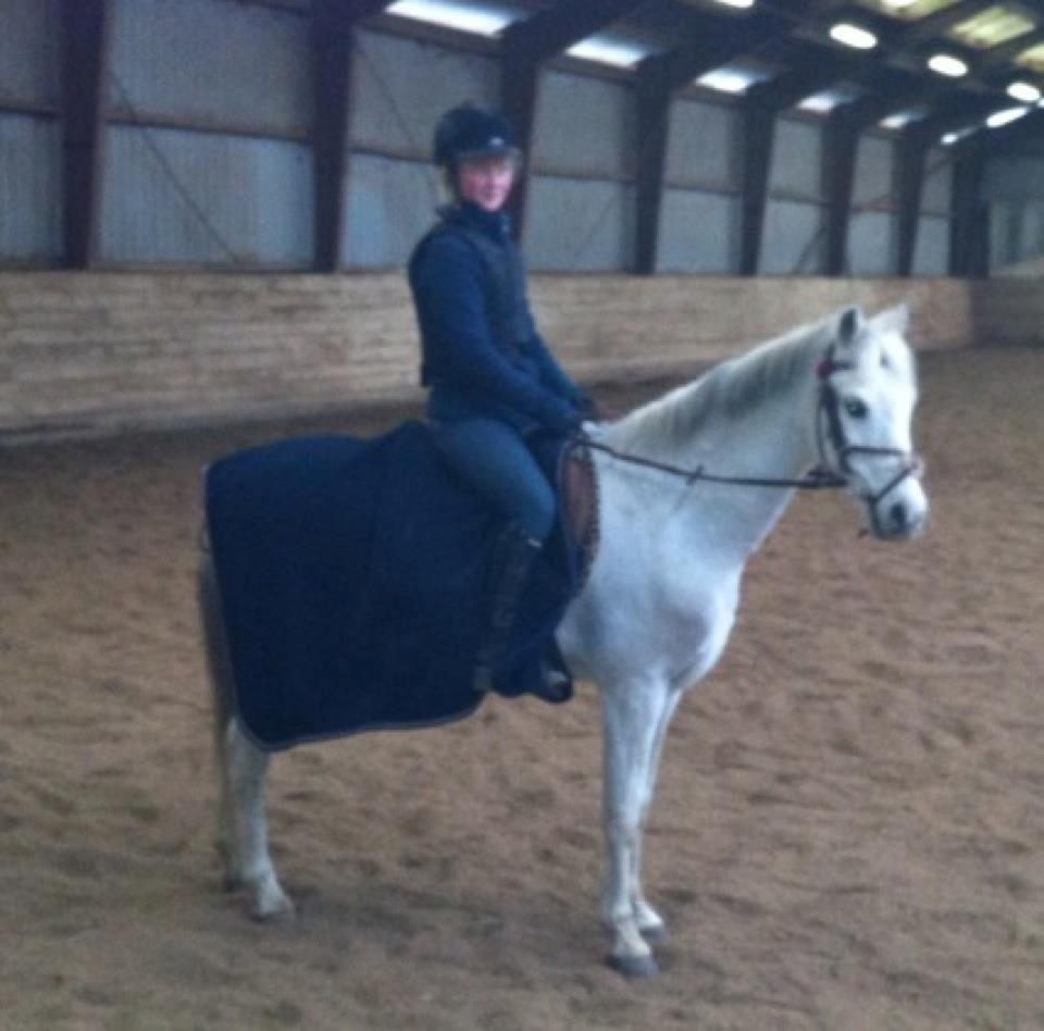 Anden særlig race Prins Grå<3 - I ridehallen :-)
Undskyld kvaliteten billede 8