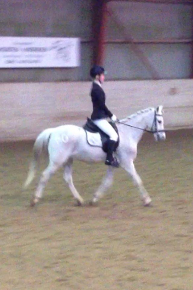 Anden særlig race Prins Grå<3 - LC1 billede 7