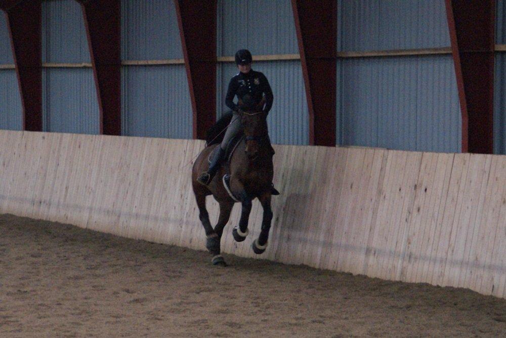 Oldenborg Fleur (Olga) - Kursus ved Mads Rom - 03/02 2013  billede 14