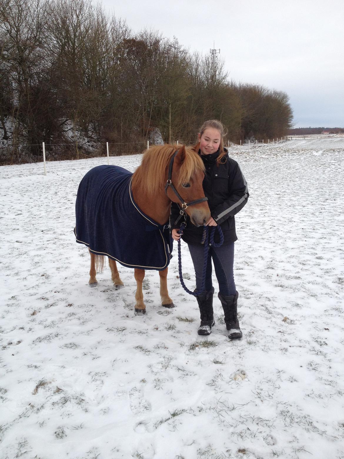 Gotlandsruss Ivanhoe<3 - ponyen og jeg, han er nok noget af det bedste der er sket for mig, og han har stor indflydelse på hvem jeg er idag <3 jeg elsker dig mindreng<3 billede 20