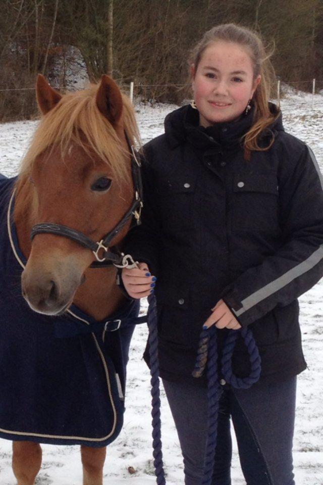 Gotlandsruss Ivanhoe<3 - mig og ponyen <3 jeg elsker dig Ivanhoe <3 billede 9