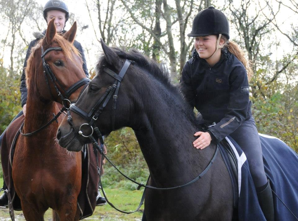 New Forest Elmholts Bravur  billede 5