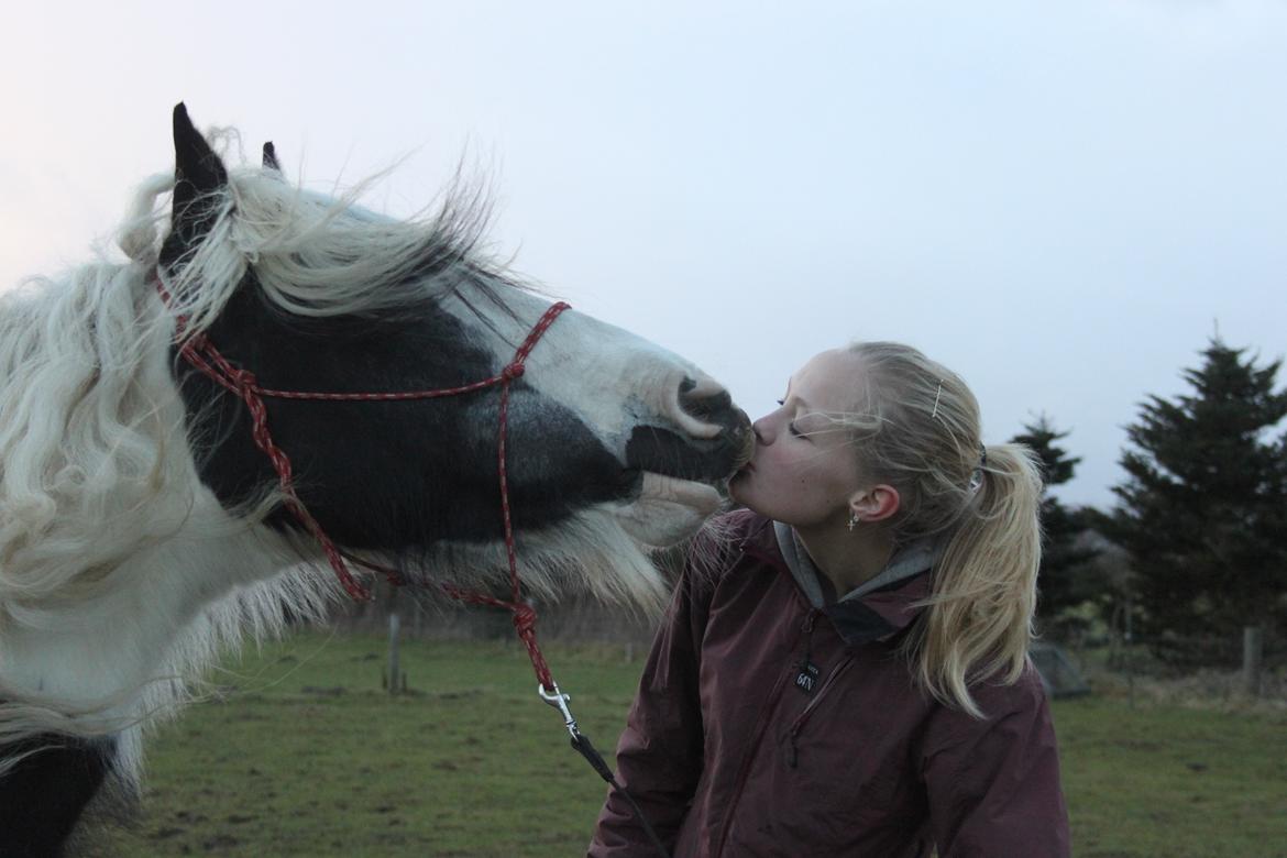 Tinker Maja billede 2