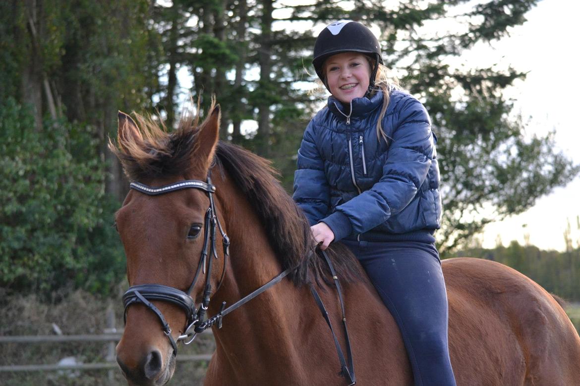 Anden særlig race Cash *Soulmate* *Himmelhest* - Verdens bedste ven..  billede 3