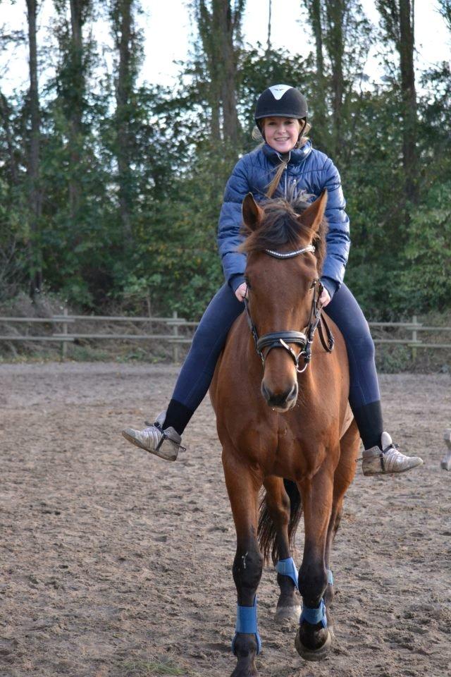 Anden særlig race Cash *Soulmate* *Himmelhest* - <3<3<3 billede 4