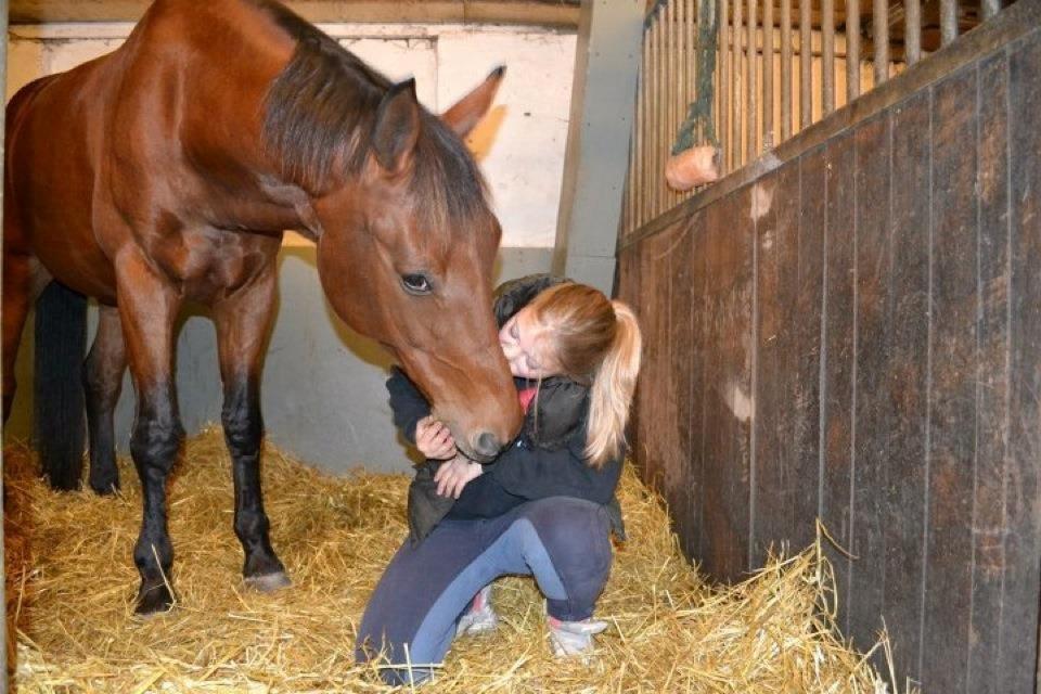 Anden særlig race Cash *Soulmate* *Himmelhest* - Kærligheden er ubeskriveligt billede 5