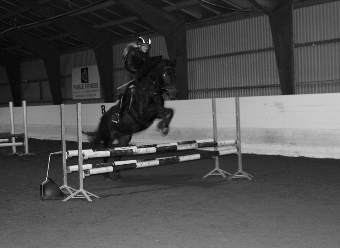 Svensk Sportspony  Barbie girl - Frederikke springer Barbie til undervisning <3 billede 19