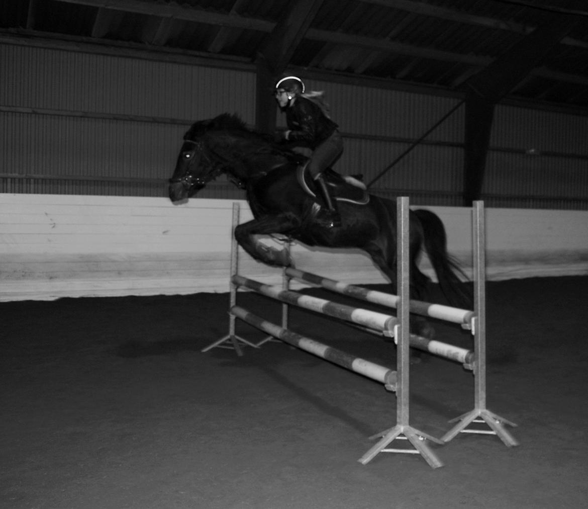 Svensk Sportspony  Barbie girl - Frederikke springer Barbie til undervisning <3 billede 8