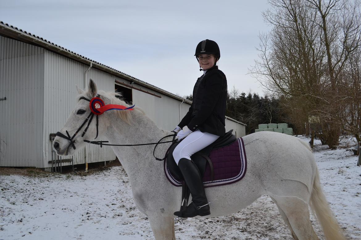 Anden særlig race Ronja  - Ronja og jeg "for sjov spring" på HES 65+55 fejlfrie. Det er ikke svært at finde en, der kan få dig til at smile, og det er ikke svært at finde en, der kan få dig til at græde. Kunsten er at finde en, der kan få dig til at smile med tårer i øjnene. billede 13