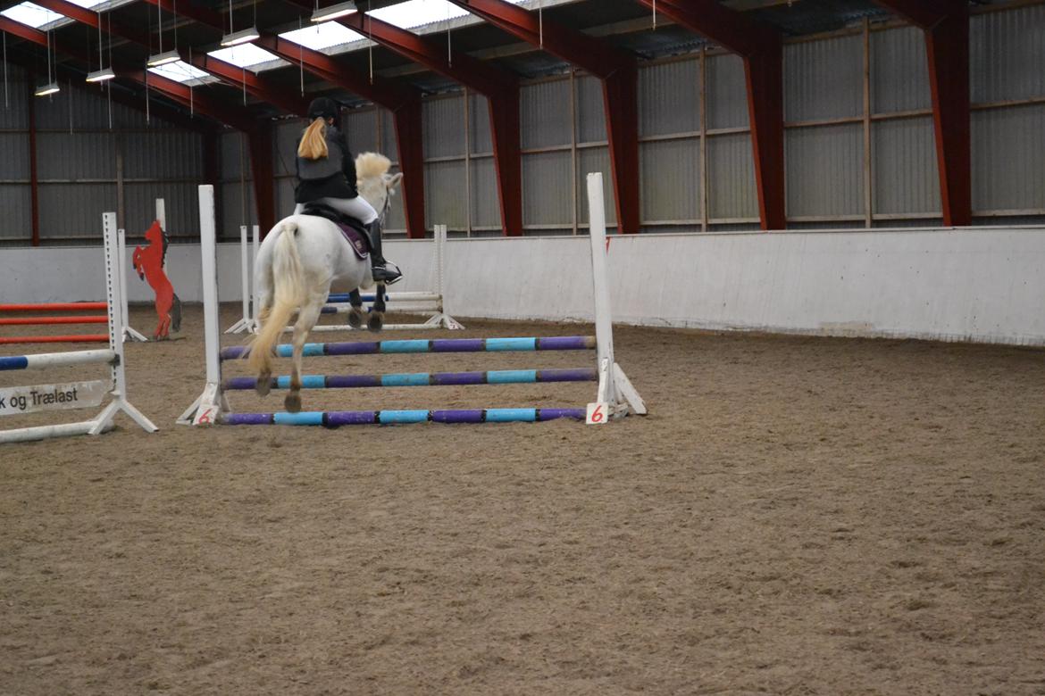 Anden særlig race Ronja  - Ronja og jeg 65 cm. Her kom jeg ud af balance men Ronja redede mig heldigvis og vi kom fejlfrit igennem <3 billede 14