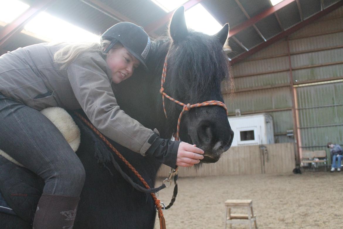 Anden særlig race Pédro billede 6