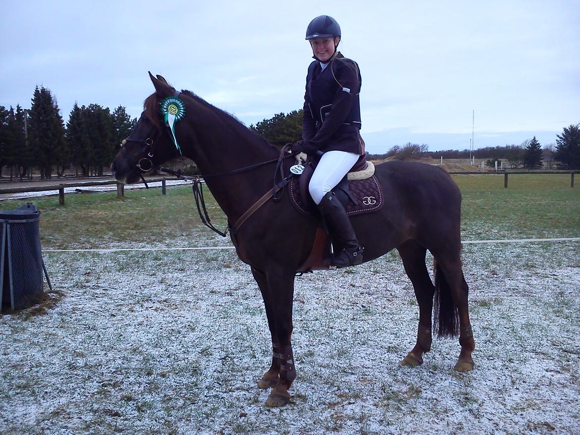 DSP Nicky<3 - min 2. placeirng i en LC begge er placeringer er 3. pladser. Det er også min første roset, på udebane.
(regionsstævne i Holstebro)
3/2-13 Foto: Mutti billede 5